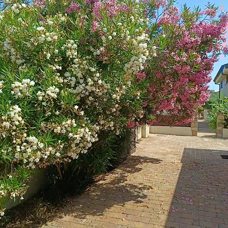 Bilo Lu Rattali Сasa de vacaciones