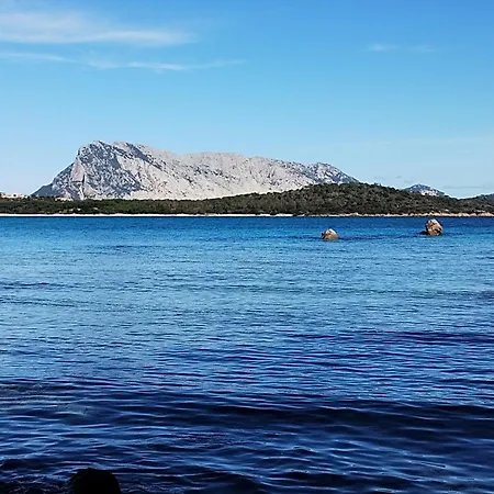 Hébergement de vacances Bilo Lu Rattali *
