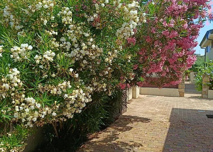 Bilo Lu Rattali Hébergement de vacances